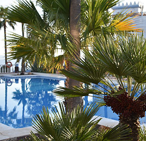 Appartement La Perla de la Bahia - Estepona